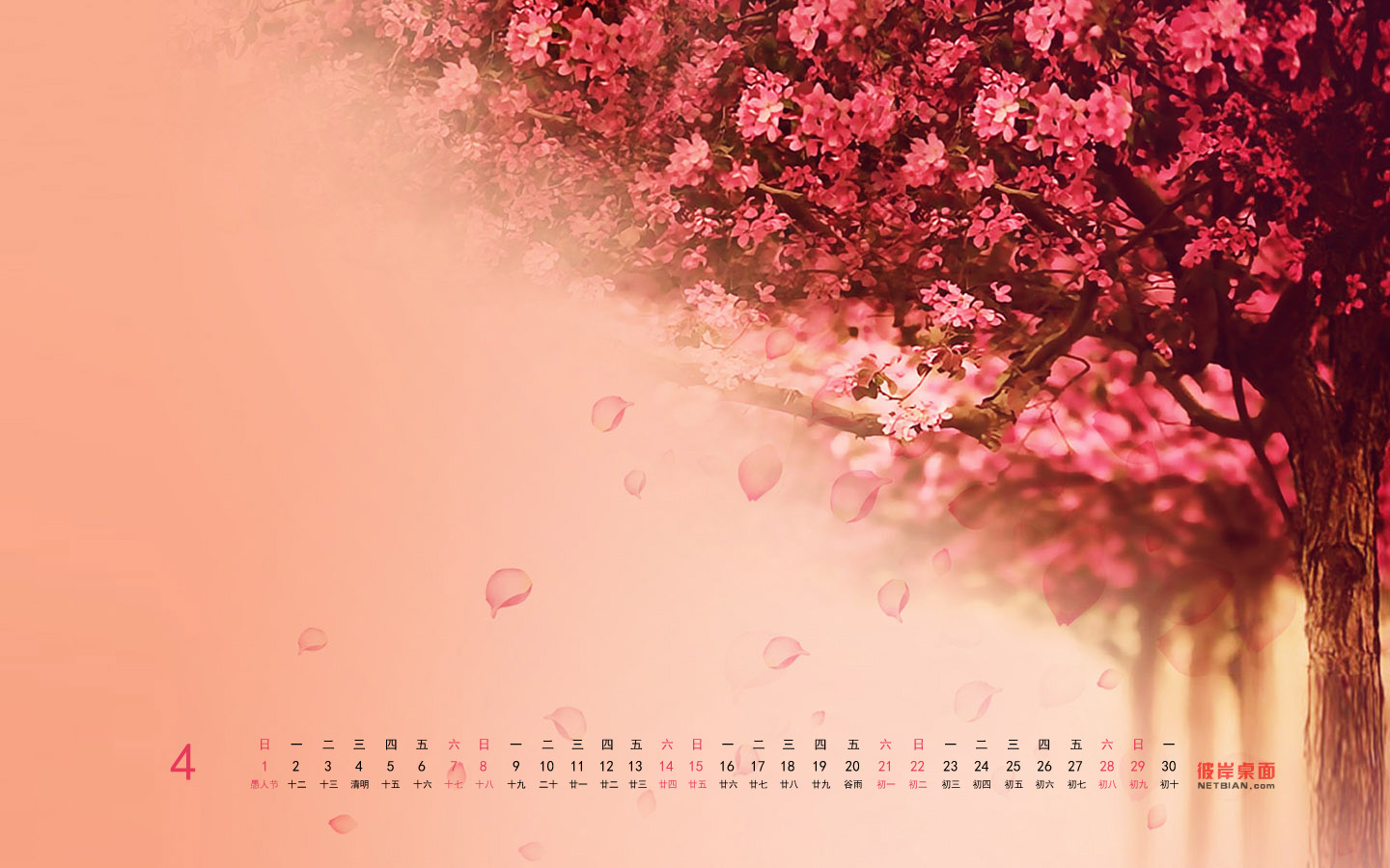 Sakura April 2012 Calendar Wallpaper