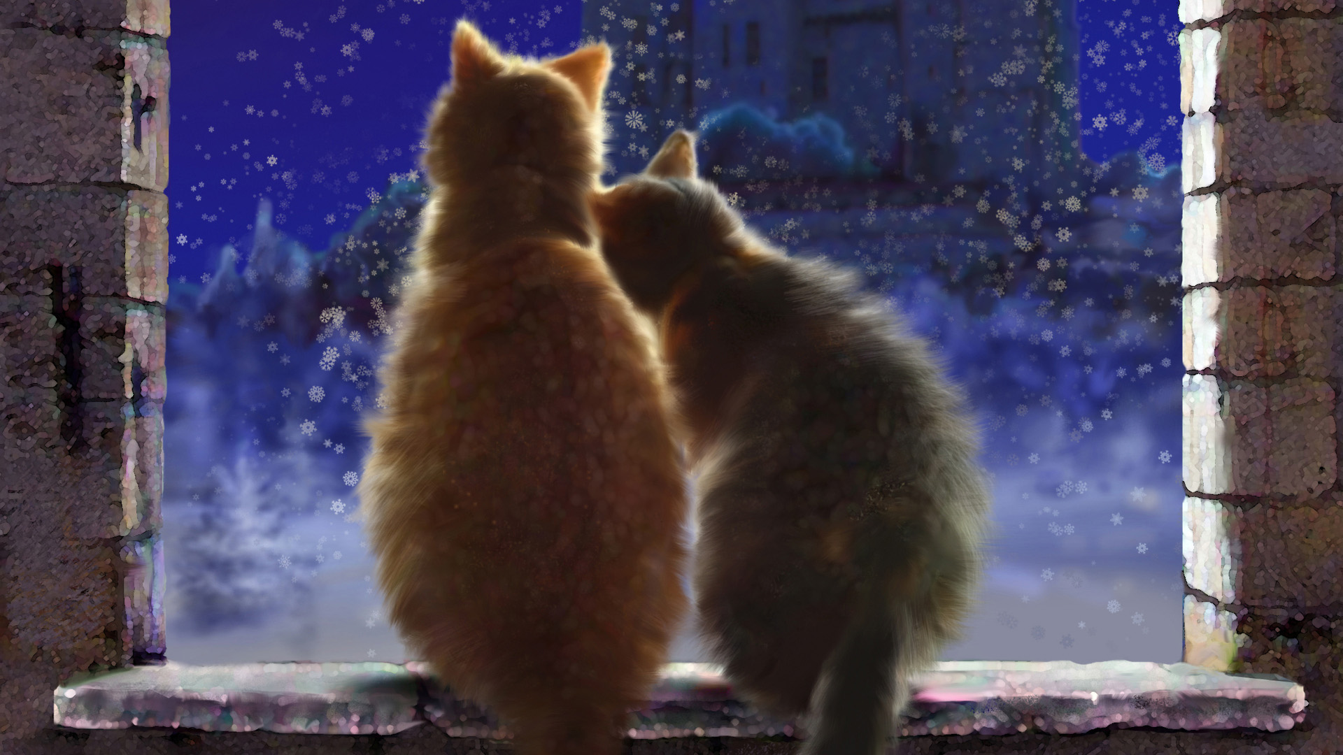 Cat Couple Desktop Wallpaper
