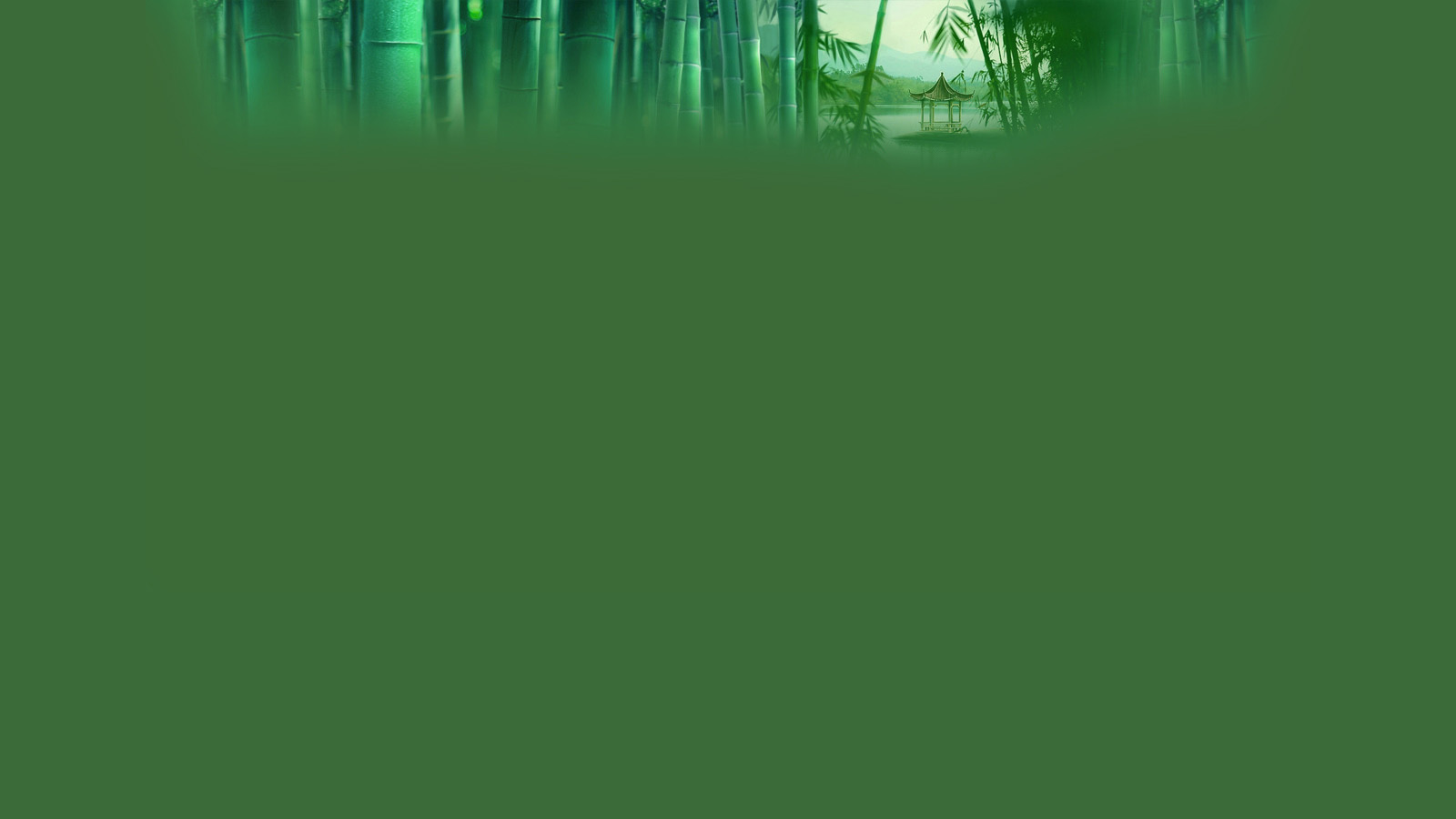 Quiet Bamboo Forest Desktop Wallpaper