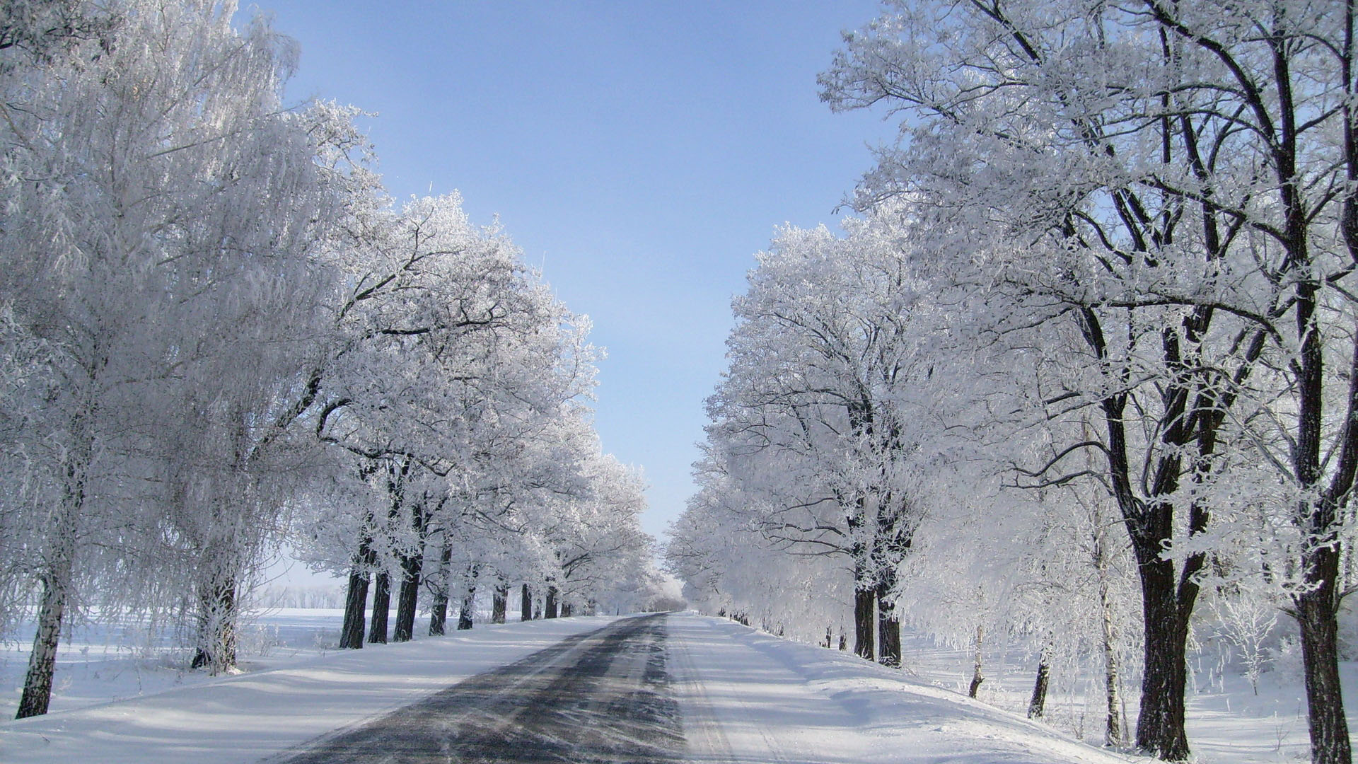 Desktop wallpaper with beautiful road scenery after snowing