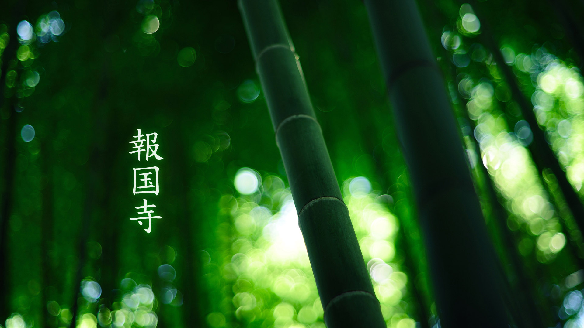 Bamboo Landscape Desktop Wallpaper of Baoguo Temple