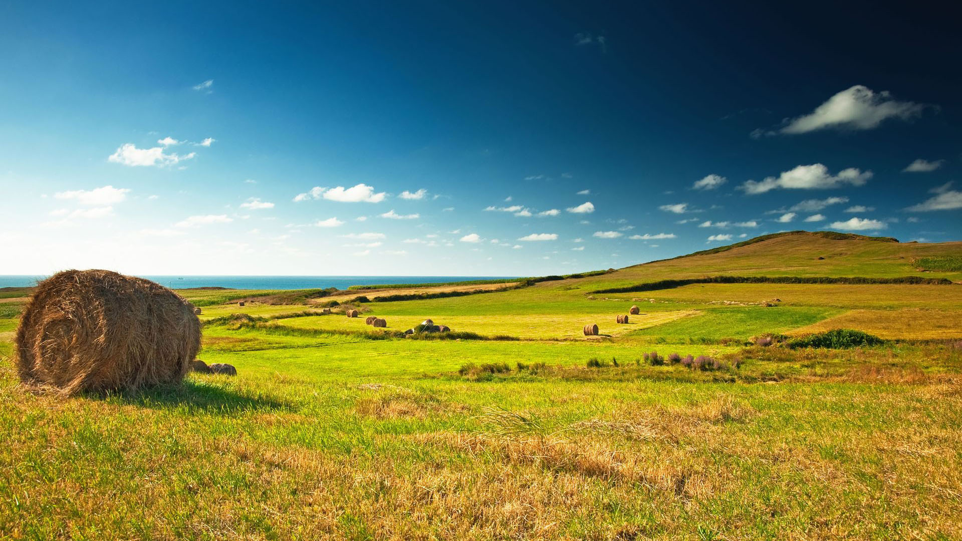 Idyll Haystack Scenery Desktop Wallpaper