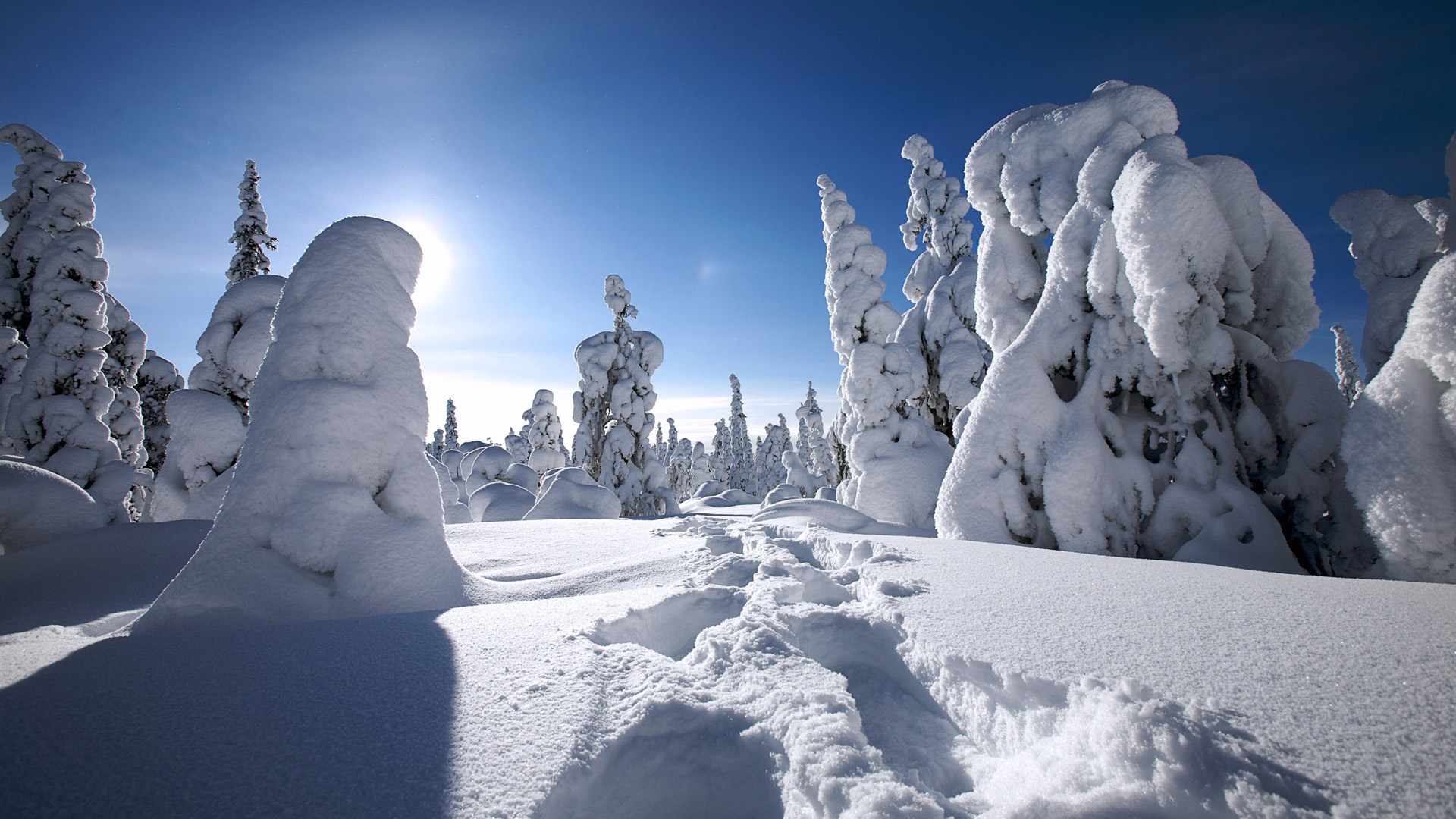 Winter wallpaper in Finland