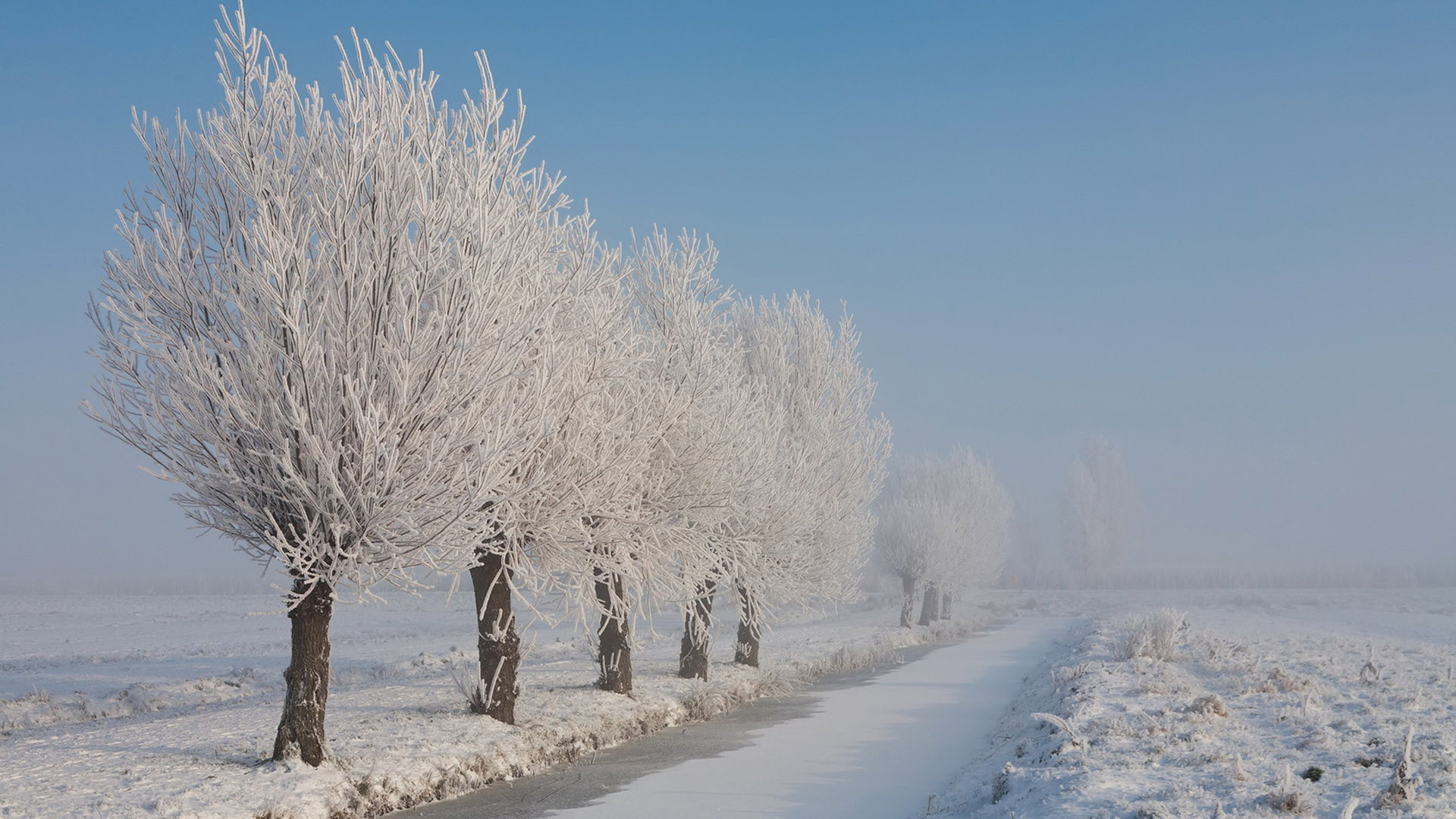 White Snow Desktop Wallpaper