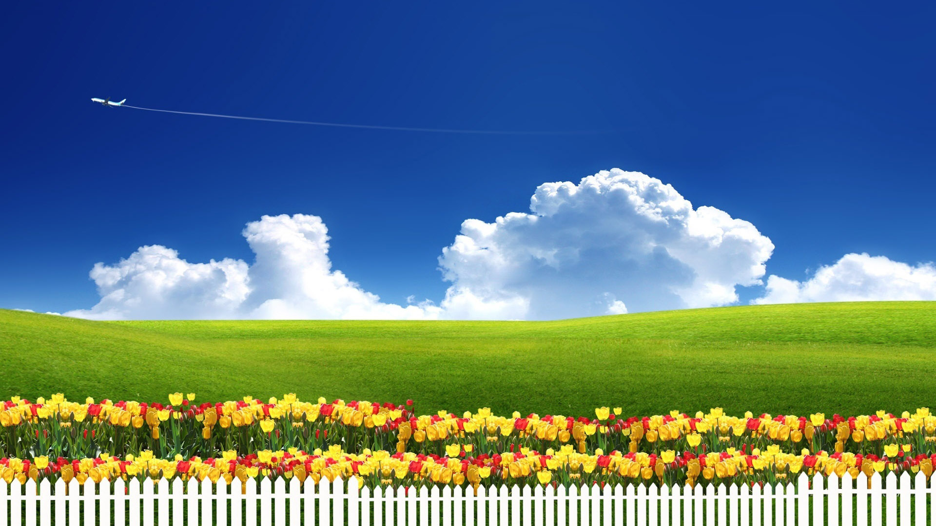 Blue Sky White Cloud Green Grass Flower Desktop Wallpaper