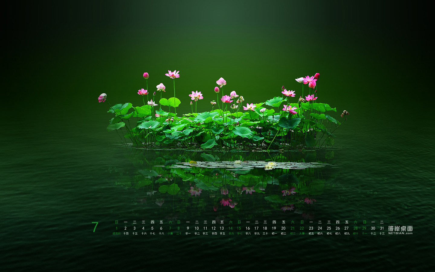 Lotus pond July 2012 calendar scenery desktop wallpaper