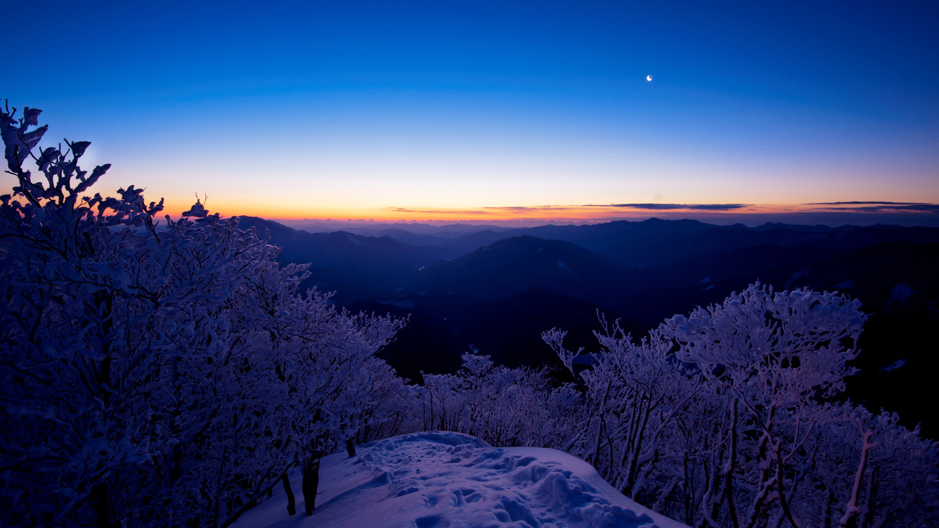Sky, sunset, mountain, snow, tree scenery desktop wallpaper