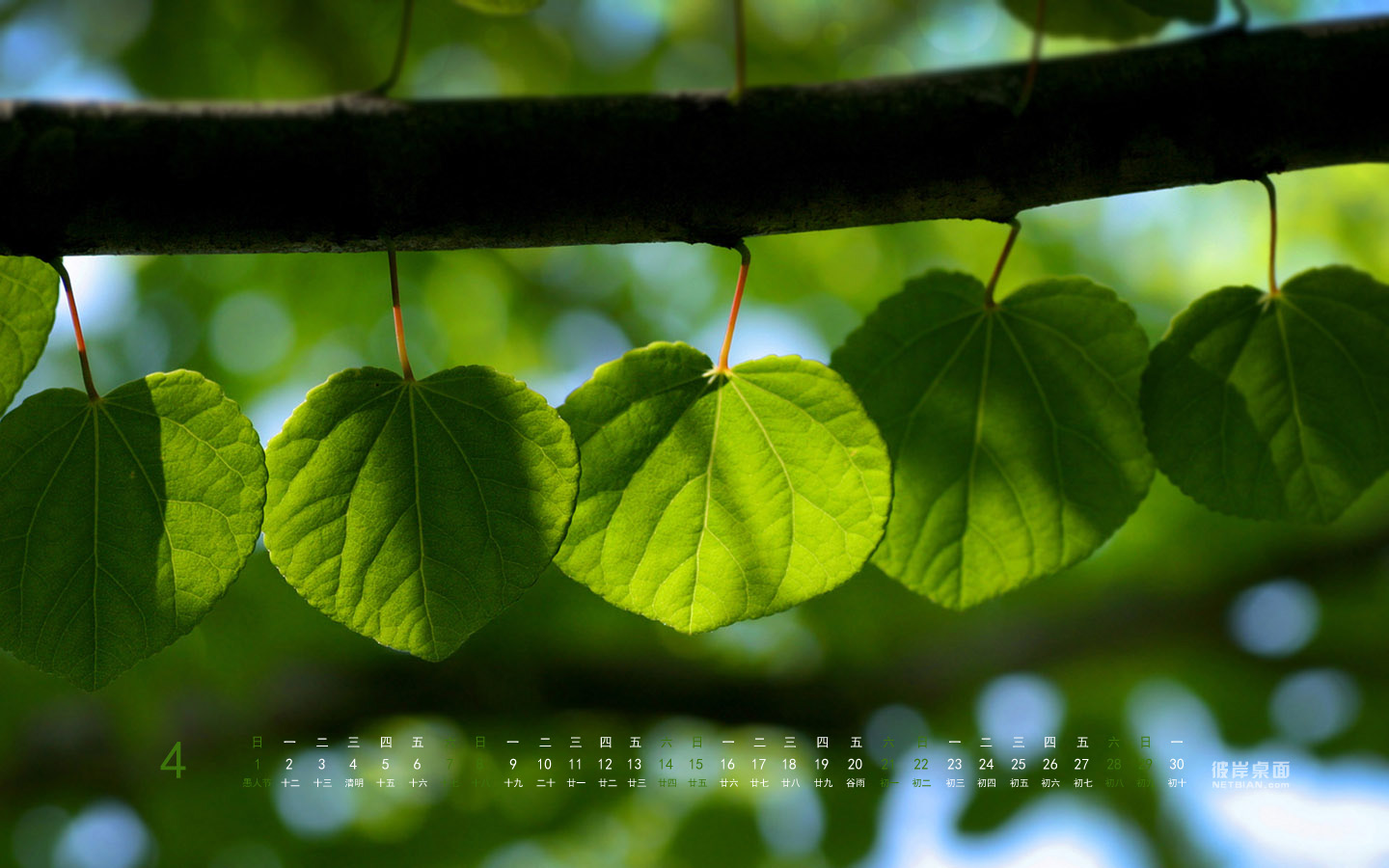 Green Small Leaf April 2012 Calendar Desktop