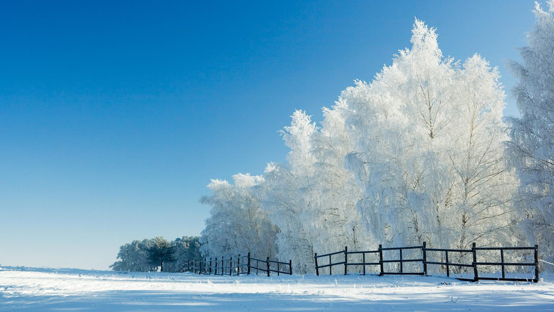 Beautiful Snow Fence Landscape Desktop Wallpaper