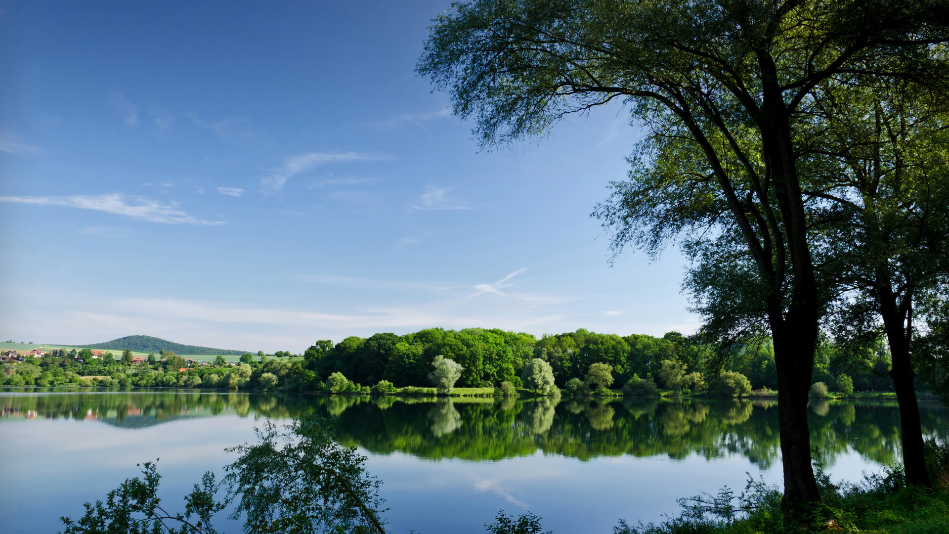 Summer Trees River Lake Landscape Desktop Wallpaper