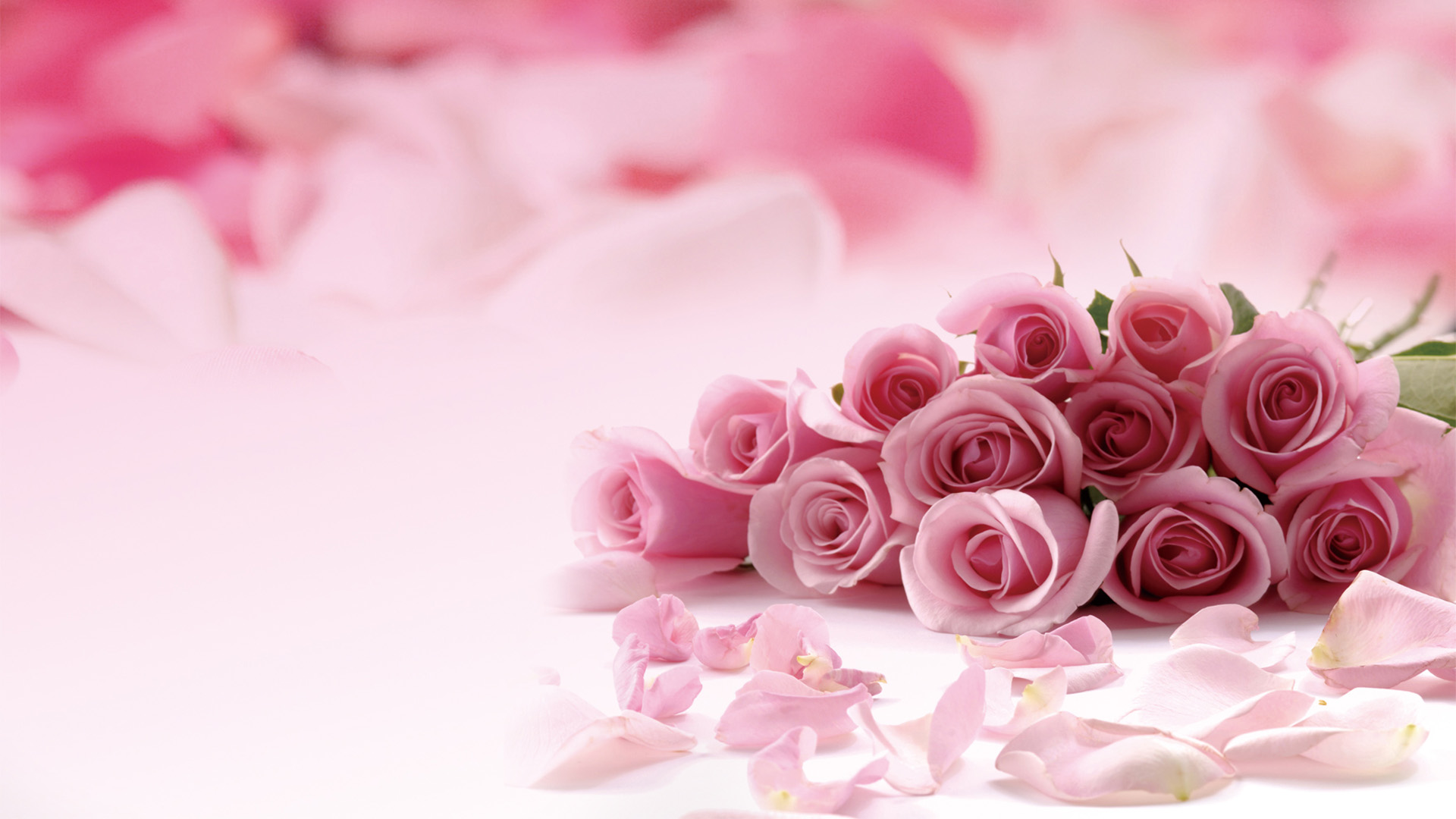 2012 Chinese Valentine's Day rose picture desktop wallpaper