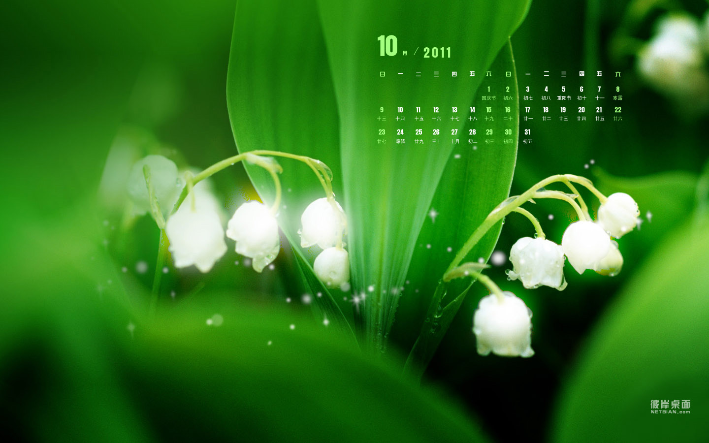 Green lily of the valley October 2011 calendar wallpaper desktop