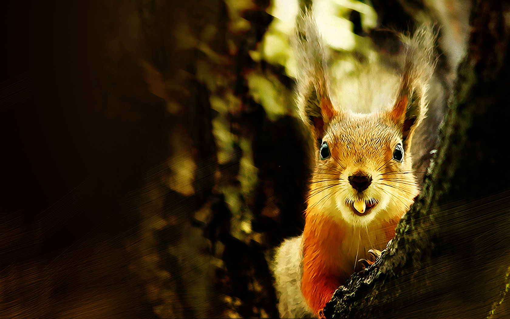 Smiling little squirrel picture wallpaper