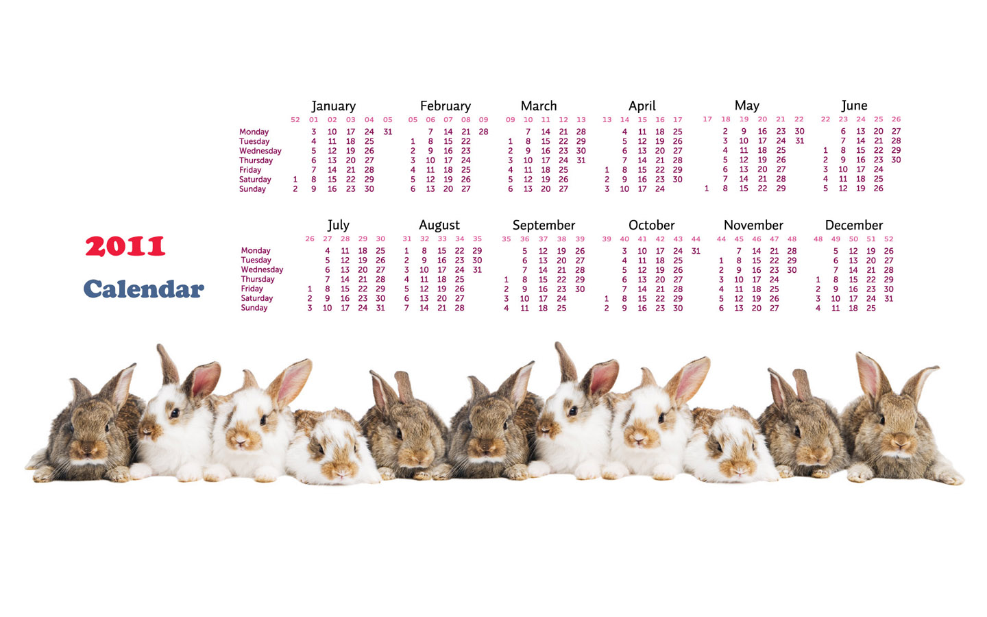2011 Year of the Rabbit Calendar Desktop Wallpaper