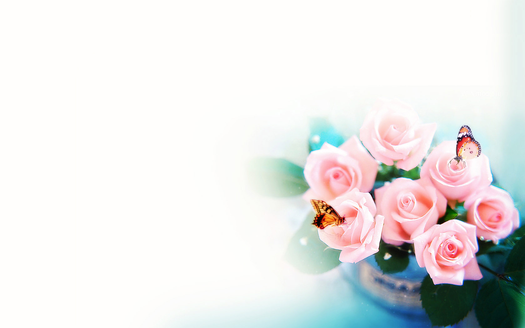 Fragrant Flower Desktop Wallpaper