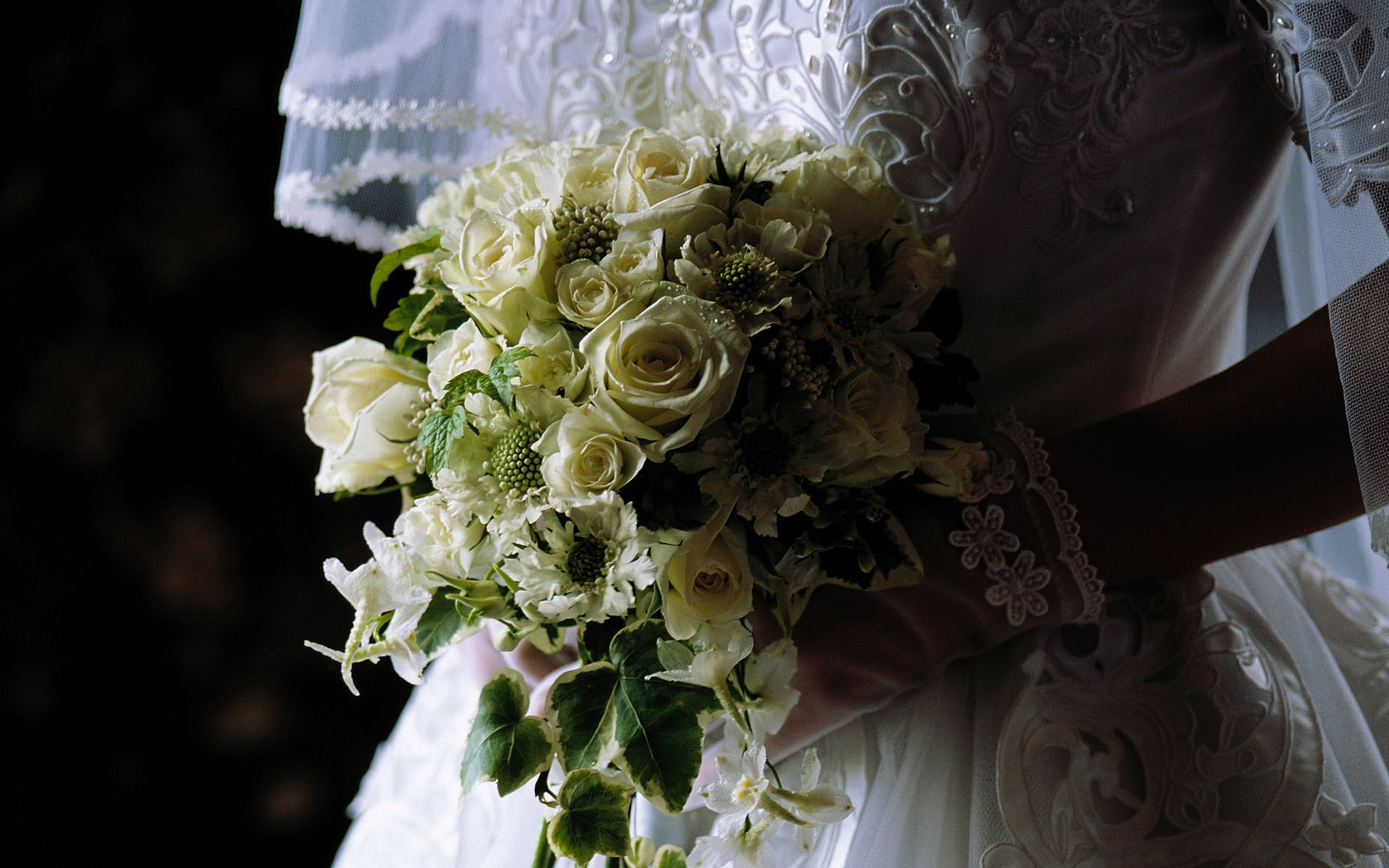 beautiful bride wedding desktop background