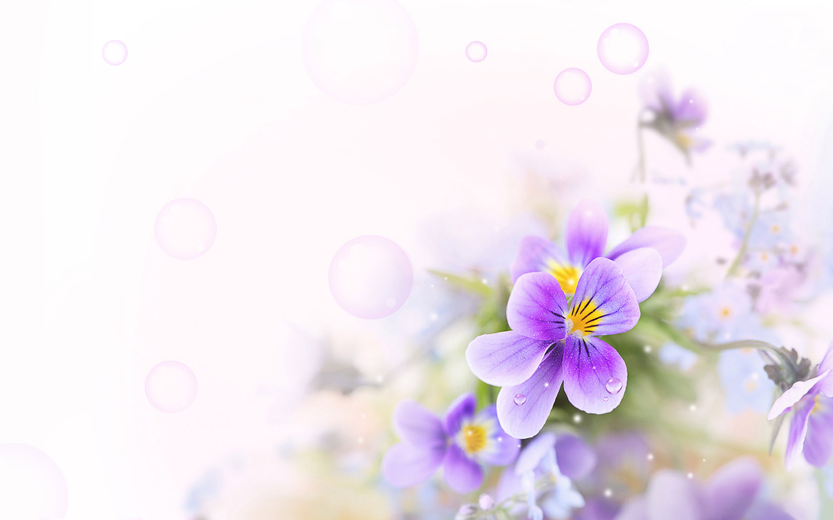 Purple flower computer desktop picture