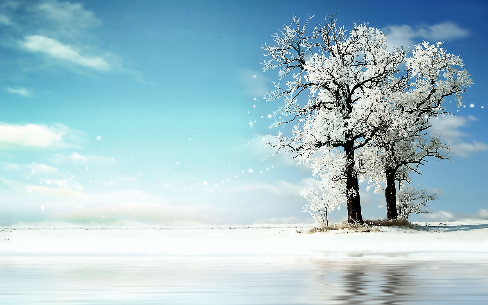 Winter tree shadow desktop background