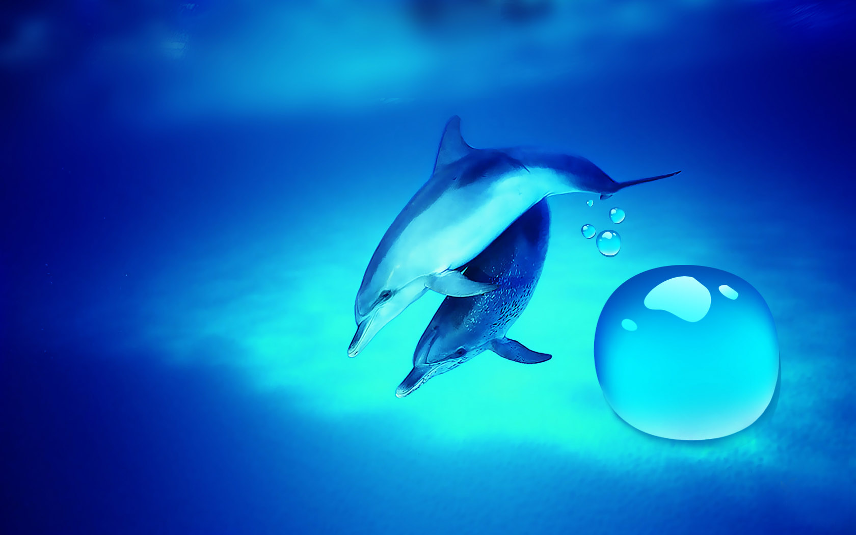 Romantic Dolphin Desktop Wallpaper