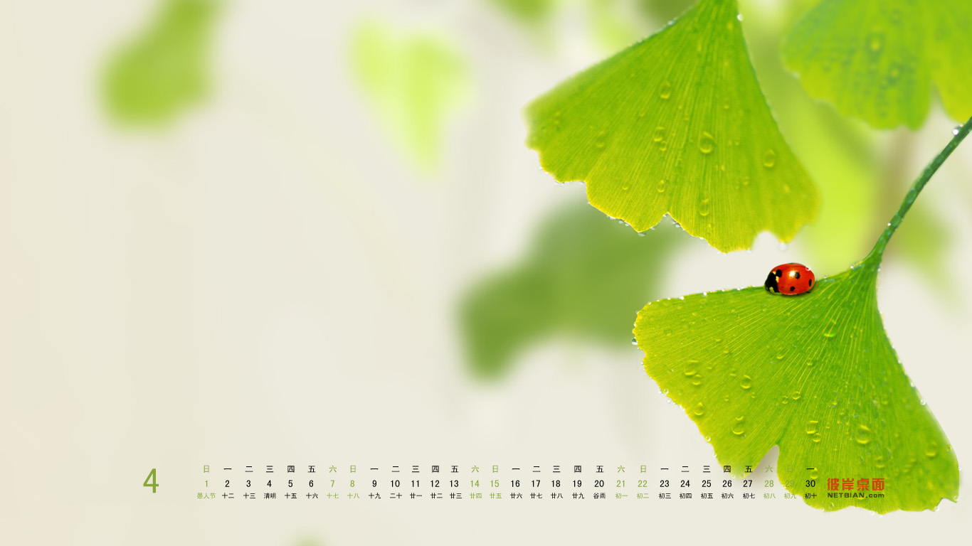 2012 April calendar desktop wallpaper 2012 annual calendar wallpaper in green leaves