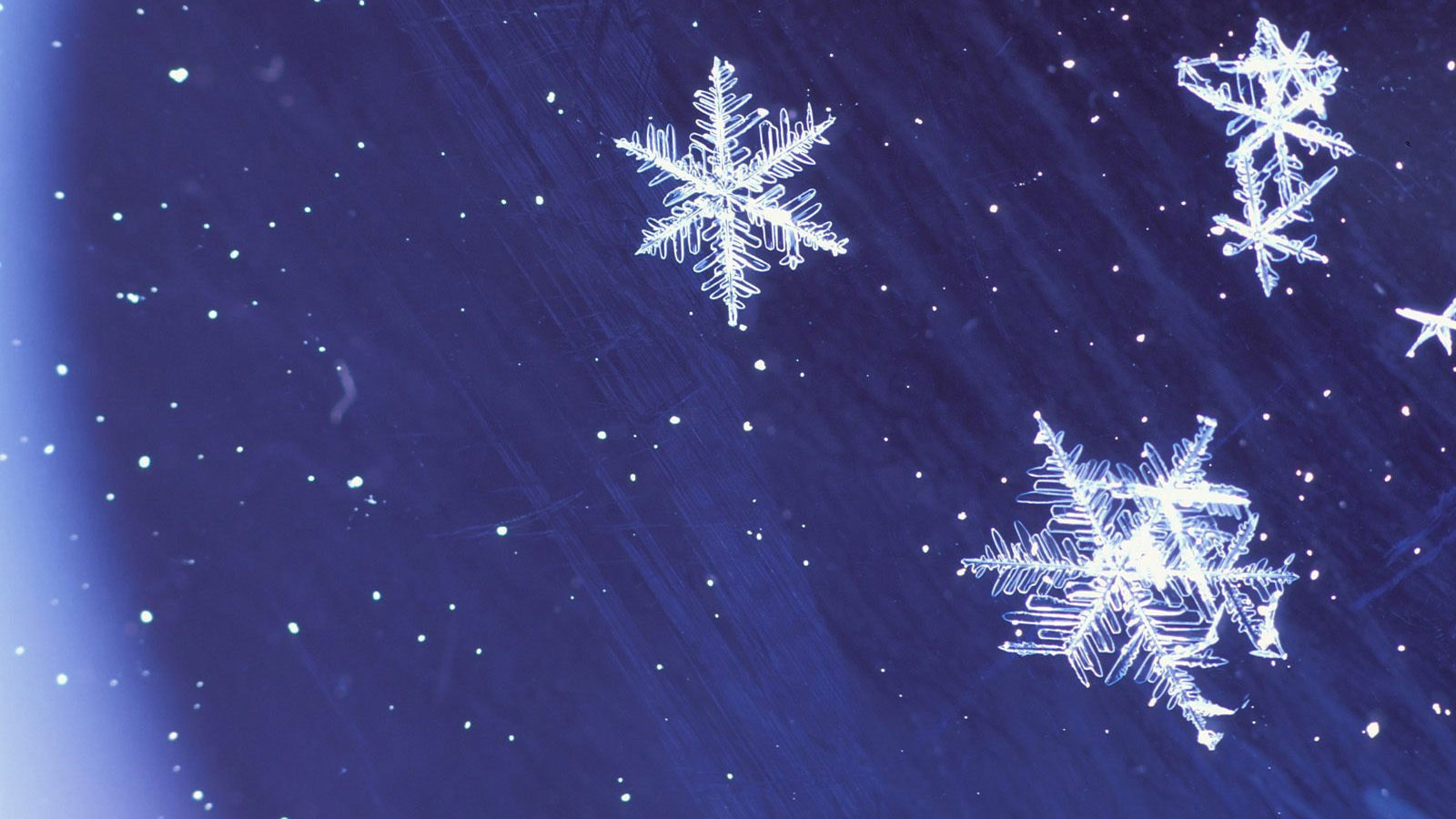 Snowflake desktop background picture