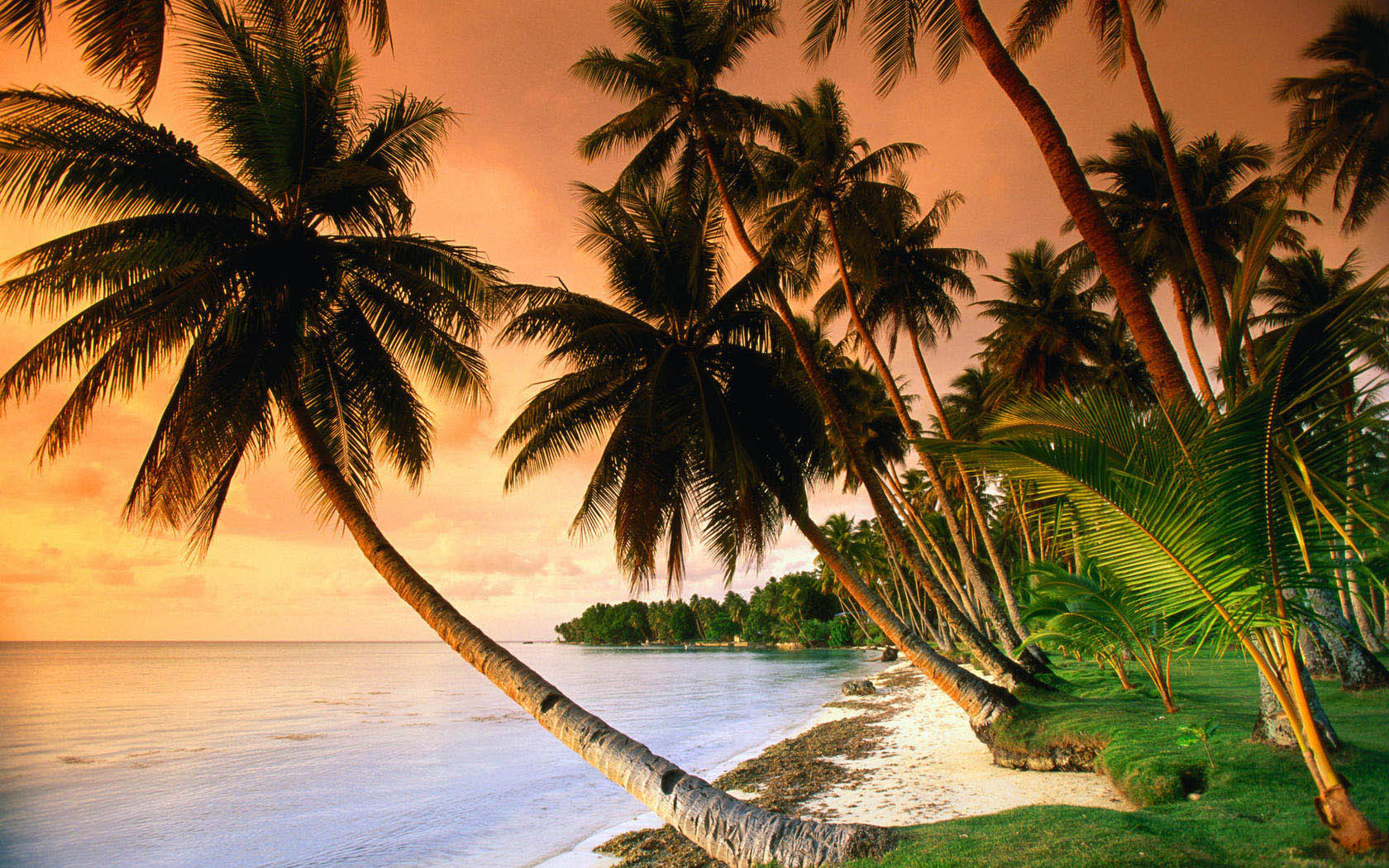 Romantic Seaside Landscape Picture Wallpaper