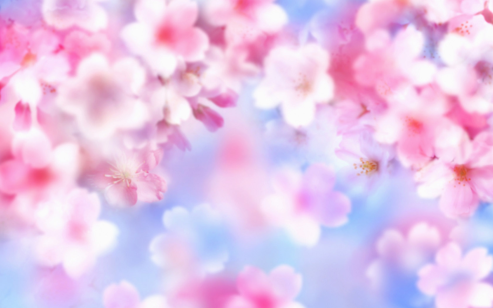 Pink flower background picture desktop
