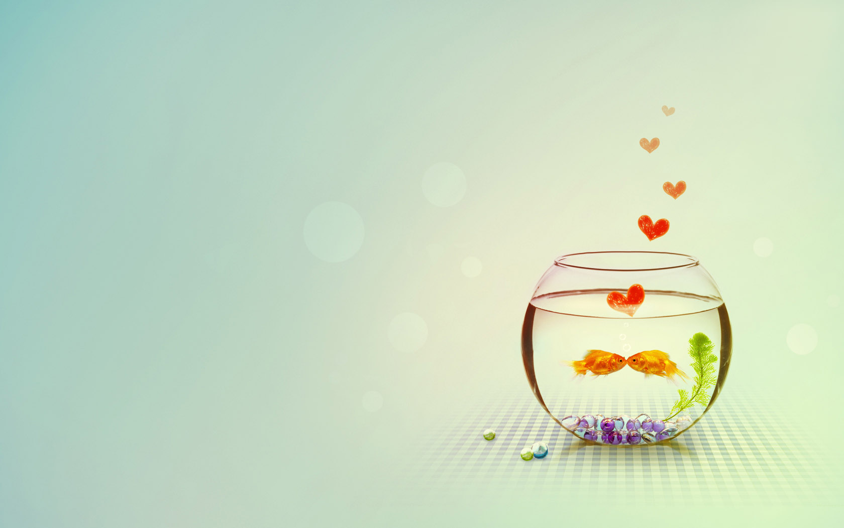 Love goldfish desktop background picture
