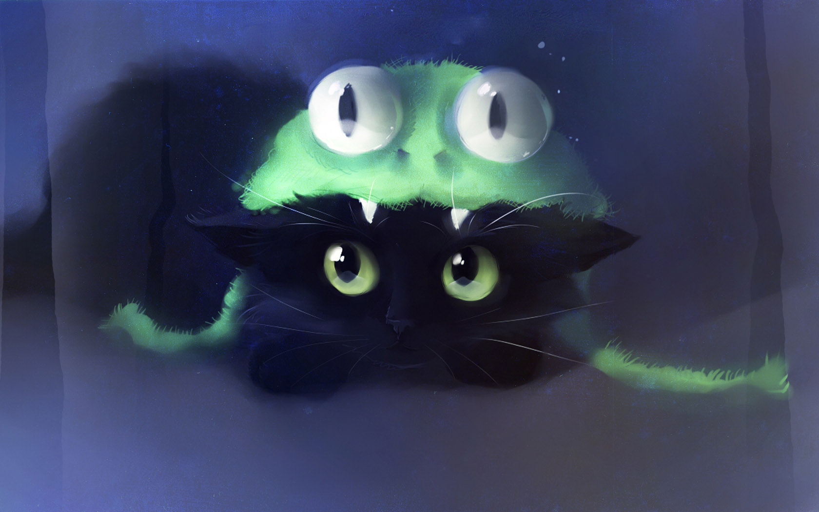 4-eyed kitten desktop wallpaper