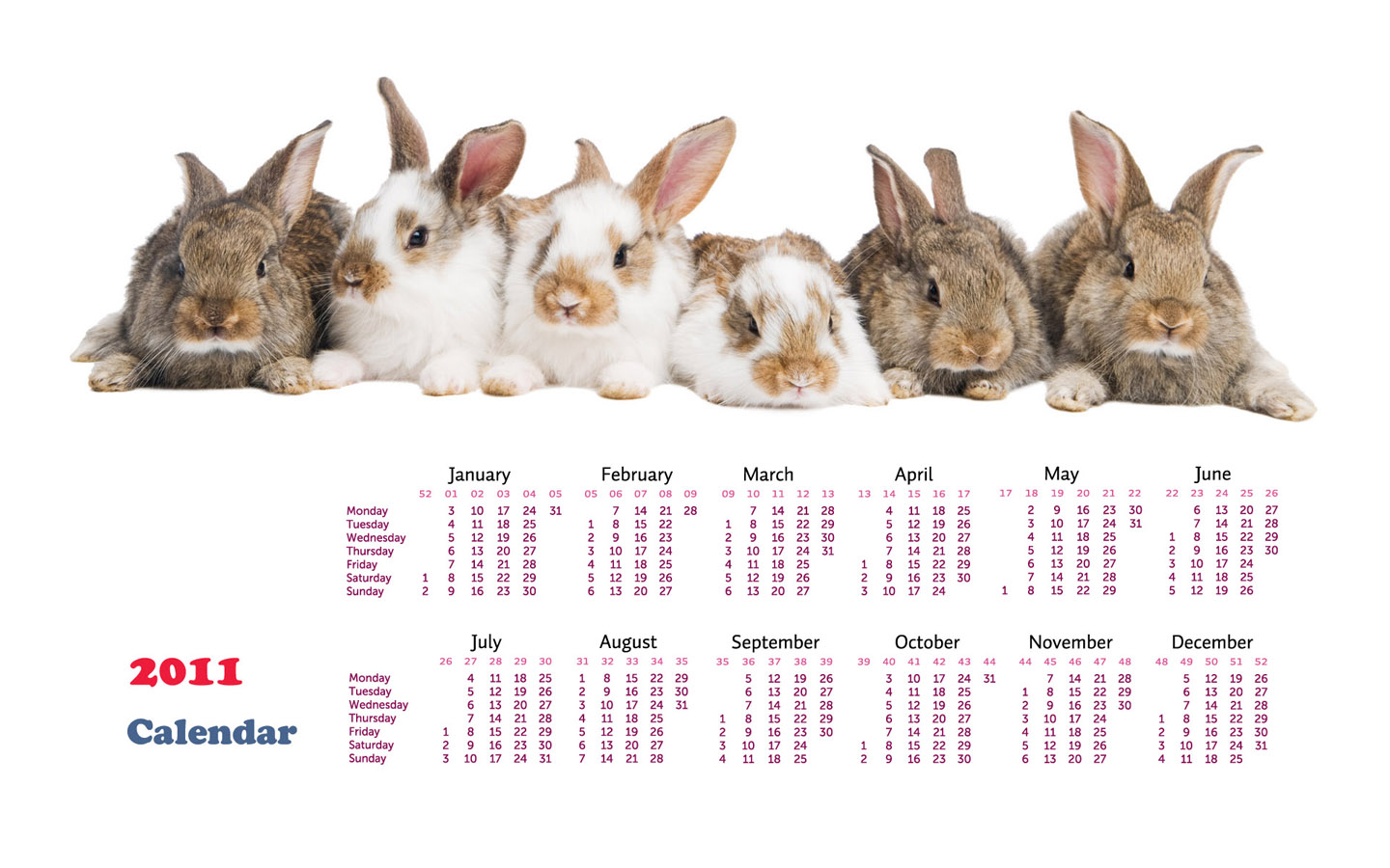 2011 annual calendar desktop wallpaper