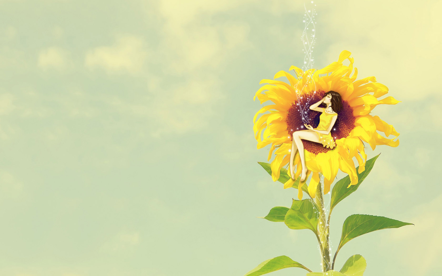 beautiful sunflower desktop wallpaper