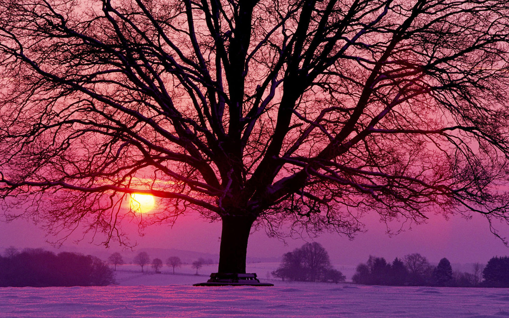 Winter Beautiful Landscape Desktop Wallpaper