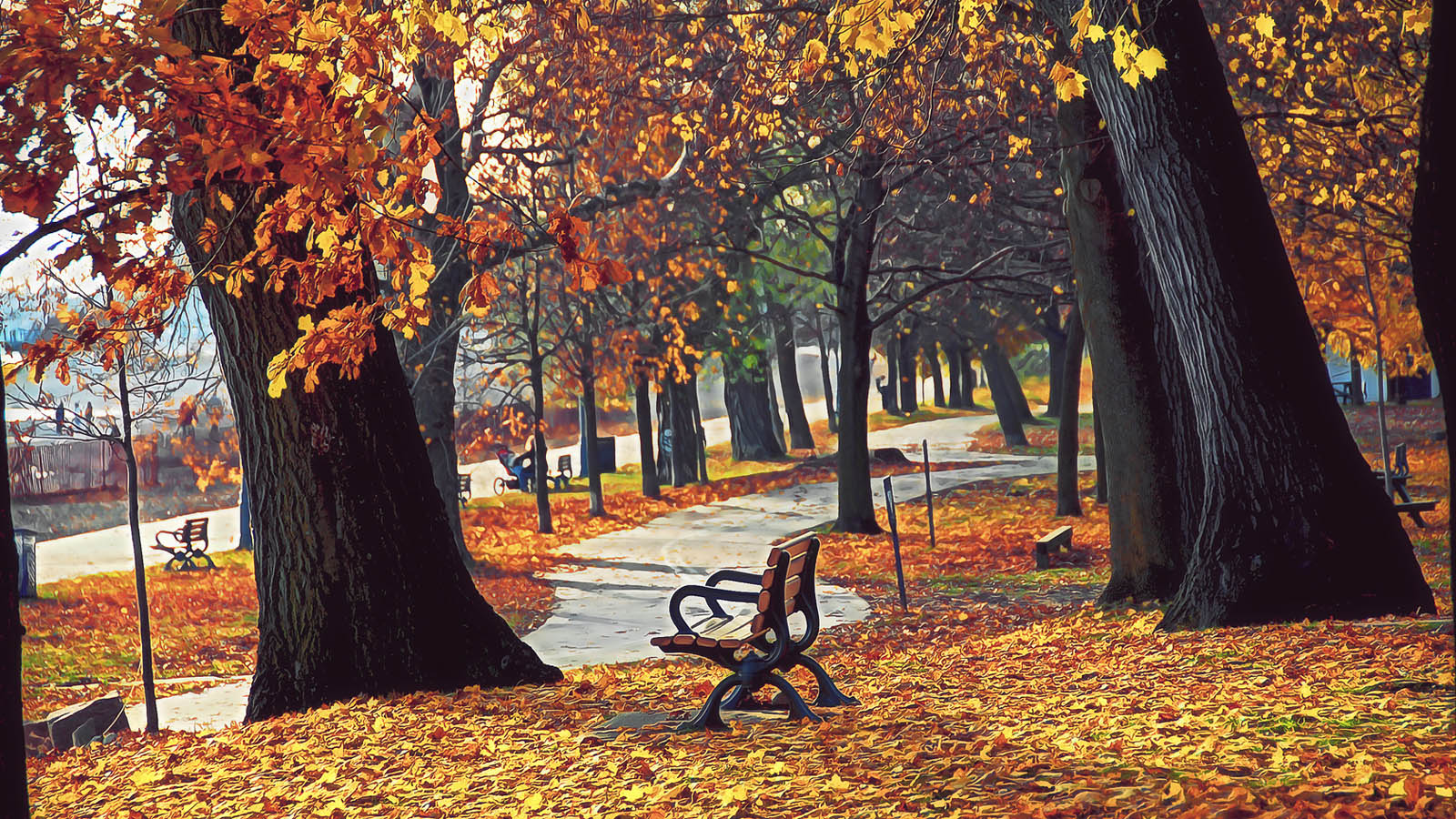 Autumn October 2011 Landscape Wallpaper