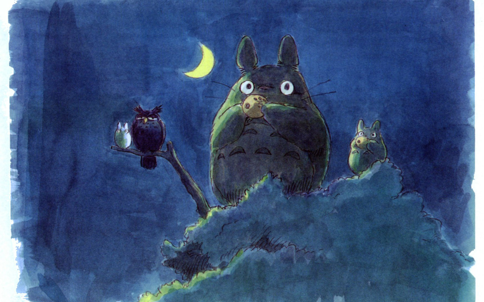 My Neighbor Totoro Hayao Miyazaki Picture Wallpaper