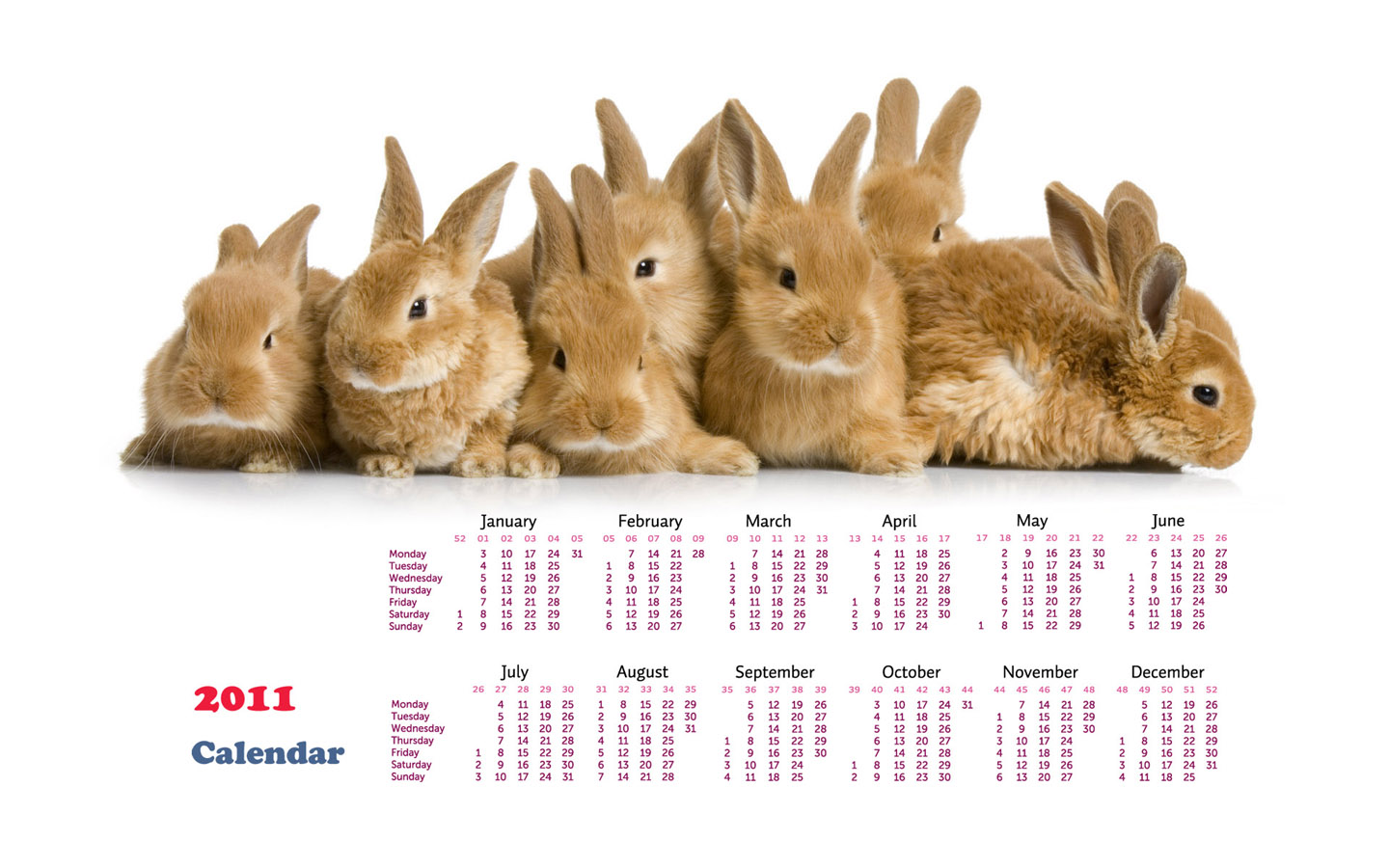 2011 annual calendar desktop wallpaper